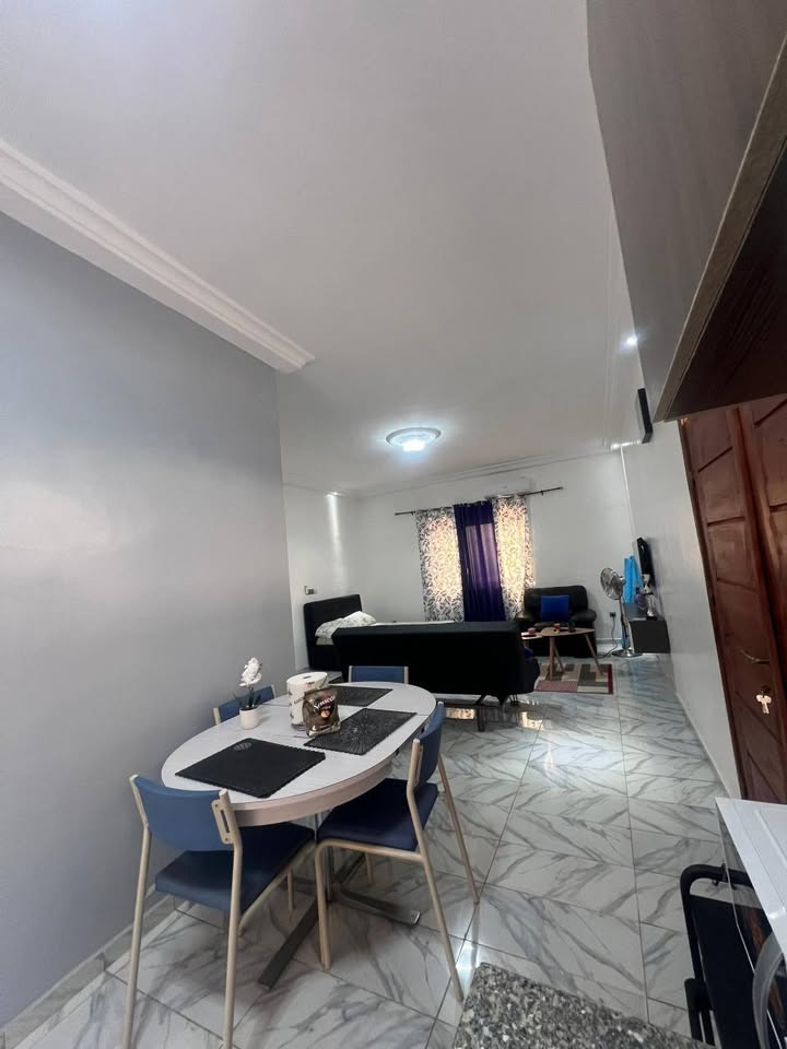 Studio Meublé de Standing seul à l'étage avec grande terrasse de 170 m² plan américain. — photo 2